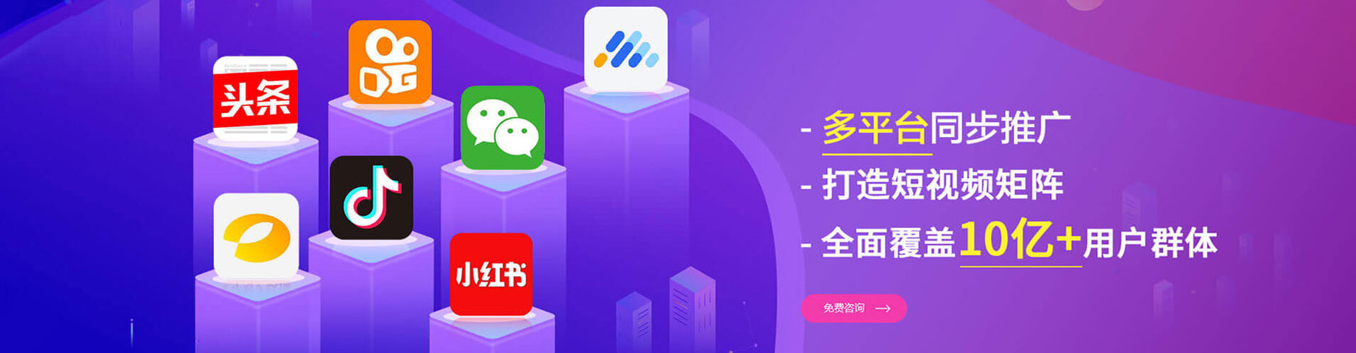 金东竞价排名